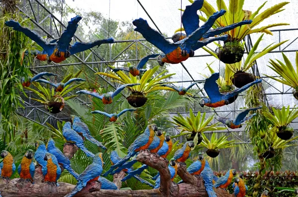 ノンヌッチ熱帯植物園 — ストック写真