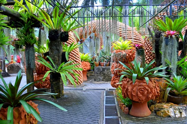 Nong nooch tropisk trädgård — Stockfoto