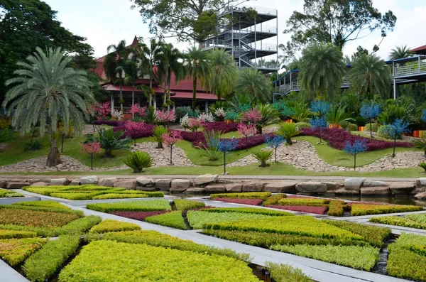 Nong nooch tropisk trädgård — Stockfoto