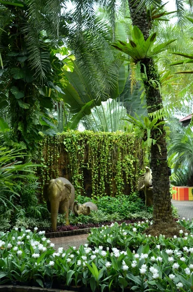 Nong nooch tropikal Bahçe — Stok fotoğraf