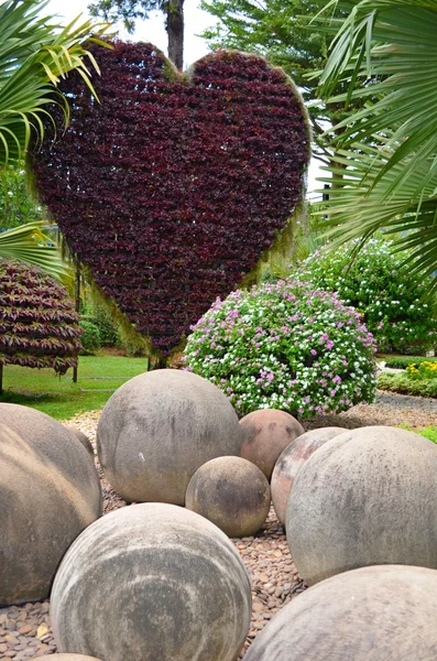 Nong nooch tropisk trädgård — Stockfoto