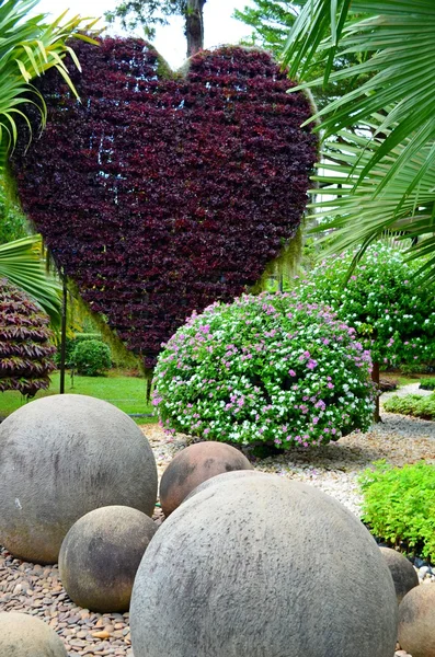 Nong nooch tropisk trädgård — Stockfoto
