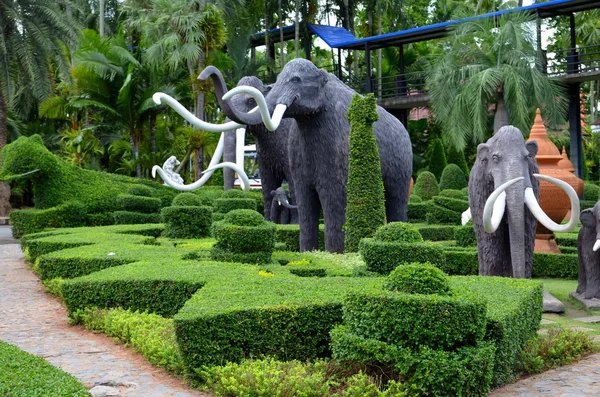 Nong nooch tropische tuin — Stockfoto