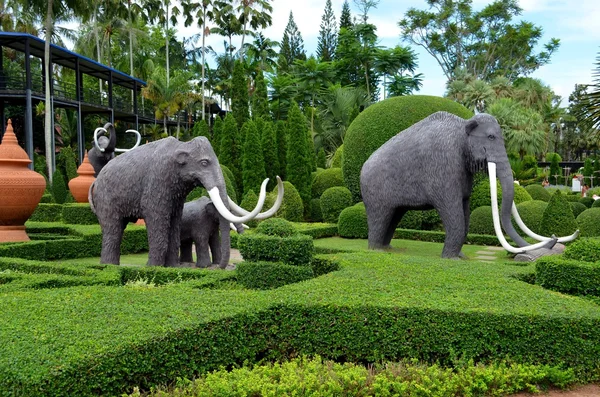 Nong nooch tropische tuin — Stockfoto