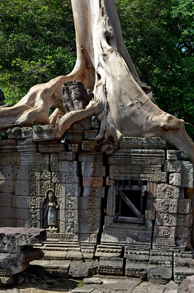 Kamboçyalı antik tapınak — Stok fotoğraf
