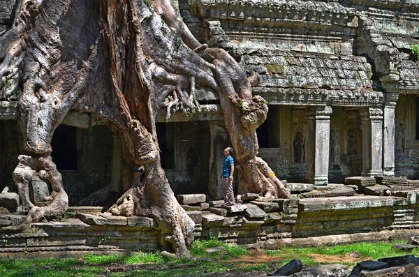 Muinainen Kambod? an temppeli — kuvapankkivalokuva