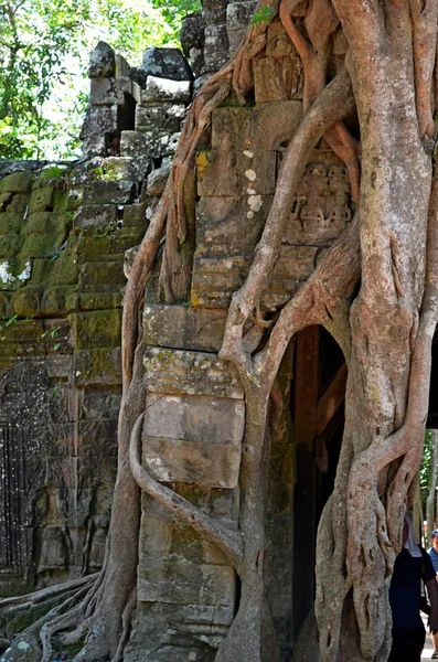 Ancient Cambodian temple — Stock Photo, Image