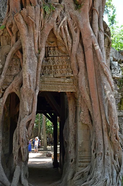 Antiguo templo cambodiano — Foto de Stock