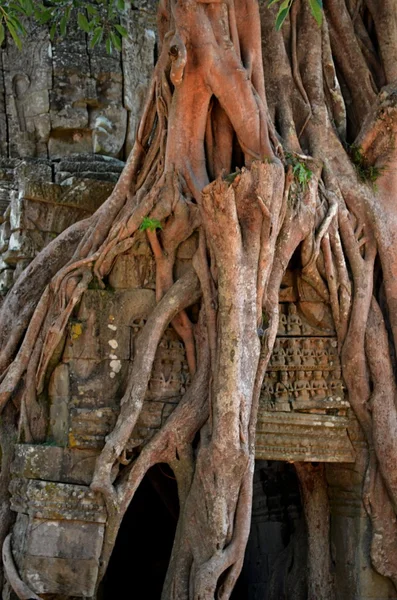 Templul Cambodgian Antic — Fotografie, imagine de stoc