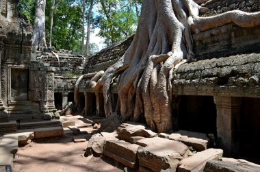 Kamboçyalı antik tapınak