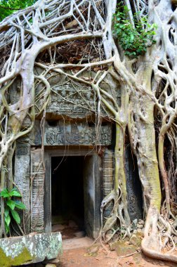 Kamboçyalı antik tapınak