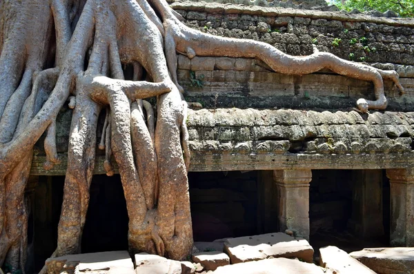 Antigo templo cambojano — Fotografia de Stock