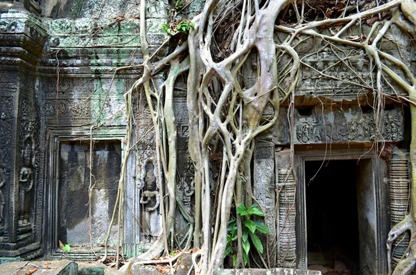 Kamboçyalı antik tapınak