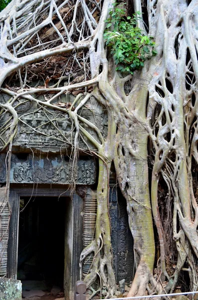 Oude Cambodjaanse tempel — Stockfoto