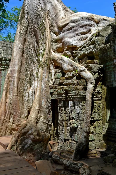 Antico tempio cambogiano — Foto Stock