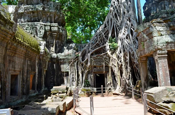 Αρχαίου ναού της Καμπότζης — Φωτογραφία Αρχείου