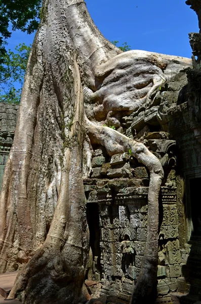 古代柬埔寨寺 — 图库照片
