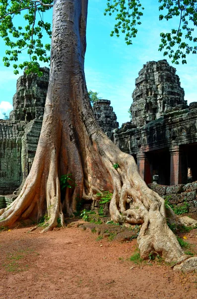 Gammalt kambodjanska tempel — Stockfoto