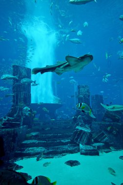 Aquarium of Atlantis the Palm hotel clipart