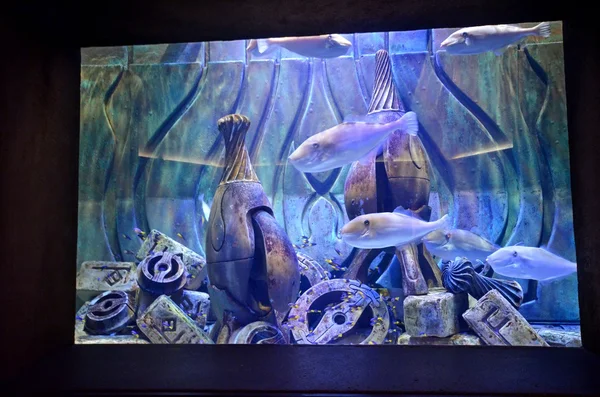 Aquarium van de atlantis de palm hotel — Stockfoto