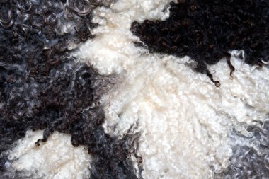 black and white sheep wool clipart