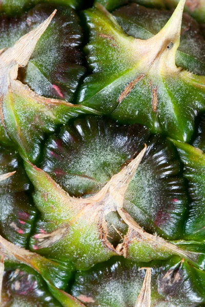 Macro of a pineapple — Stock Photo, Image