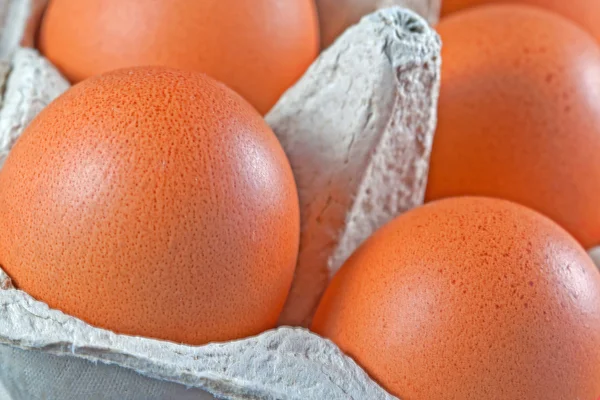 Egg carton with fresh brown eggs — Stock Photo, Image