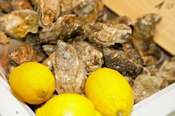 Comida, ostras con limón — Foto de Stock