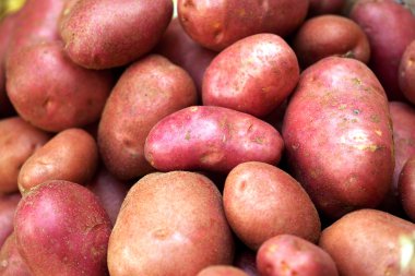 Fresh potatoes sold at a market