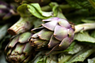 bir markette satılan taze enginar