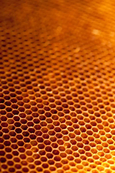 蜂蜜とワックスを使ったハニカム — ストック写真