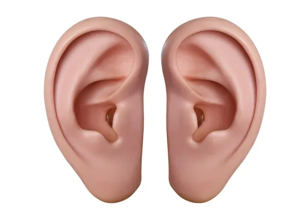 人間の耳 ストック写真