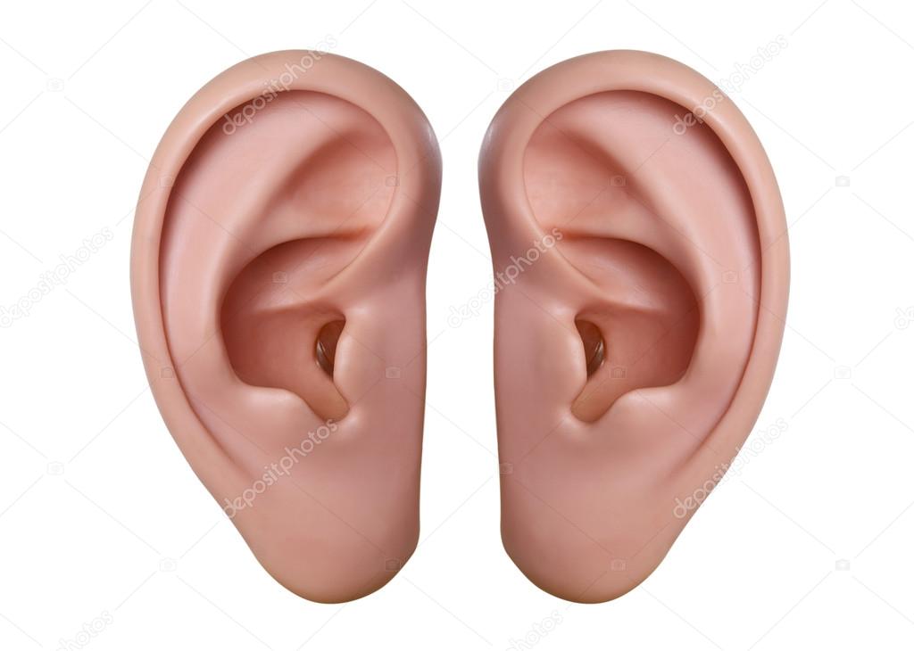 Human ears