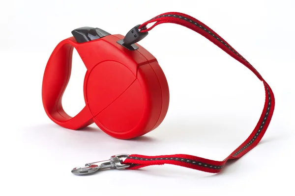 Red retractable leash — Zdjęcie stockowe