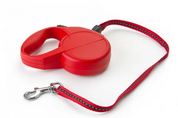 Red retractable leash — Zdjęcie stockowe