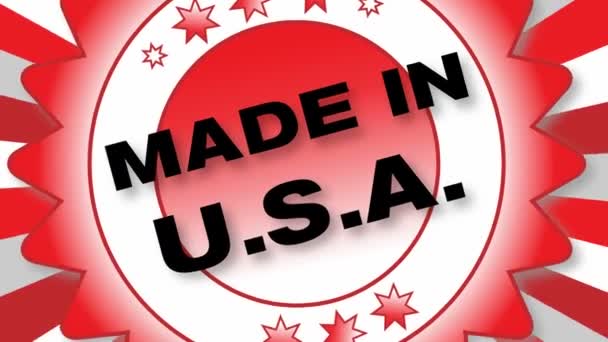 Made in USA — Stock Video