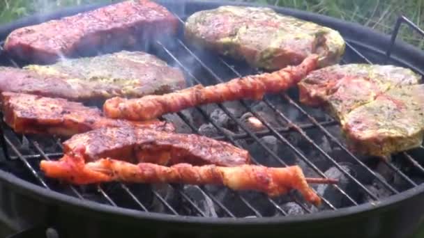 Grillen — Stockvideo