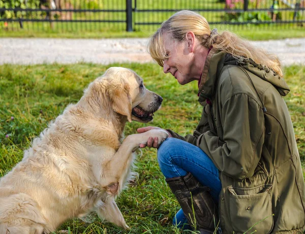 Beige Senior Golden Retriever Geeft Poot Aan Haar Vrouwelijke Eigenaar — Stockfoto