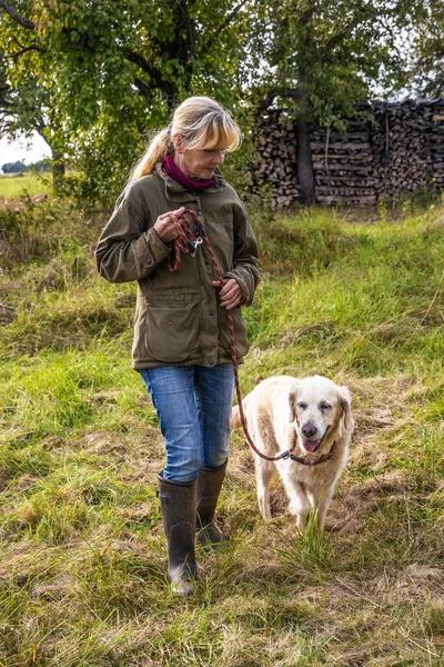 Hondentrainer Traint Een Golden Retriever Een Weide Herfst — Stockfoto