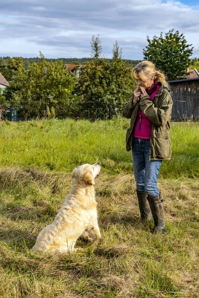 Hondentrainer Traint Een Golden Retriever Een Weide Herfst — Stockfoto