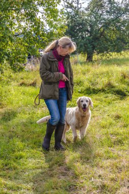 Köpek eğitmeni sonbaharda çayırda bir golden retriever eğitir..
