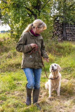 Köpek eğitmeni sonbaharda çayırda bir golden retriever eğitir..