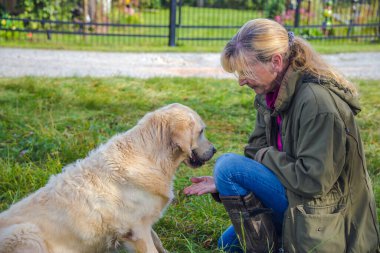 Bej rengi kıdemli Golden Retriever kadın sahibine patisini uzattı.