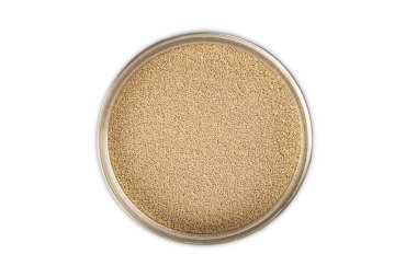 Parlak arka planda bir kasede kuru maya