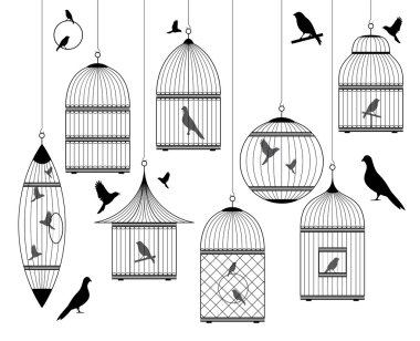 Vintage birdcages kuşlar