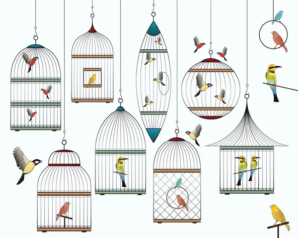 Birds and birdcages collection — Stock Vector