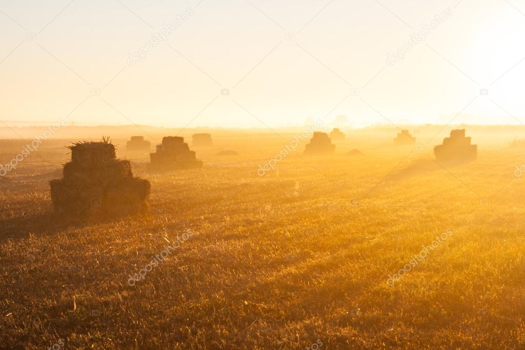 Sunrise over the stacks of straw