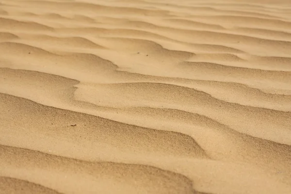 Desert sand — Stock Photo, Image