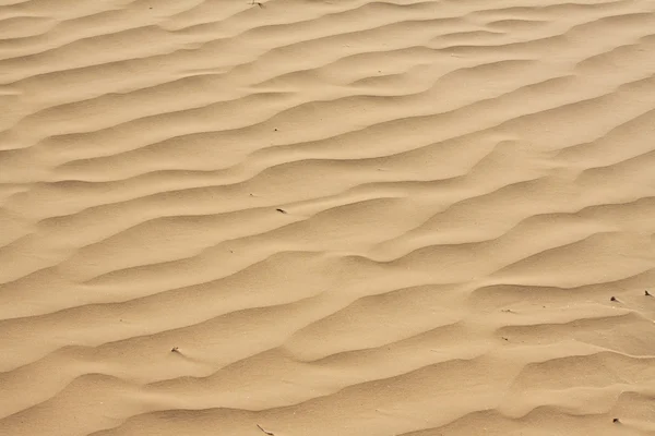 Arena del desierto —  Fotos de Stock