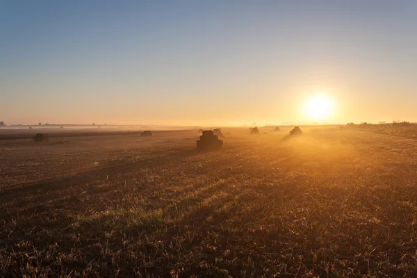 Haystacks en el campo al amanecer — Foto de Stock